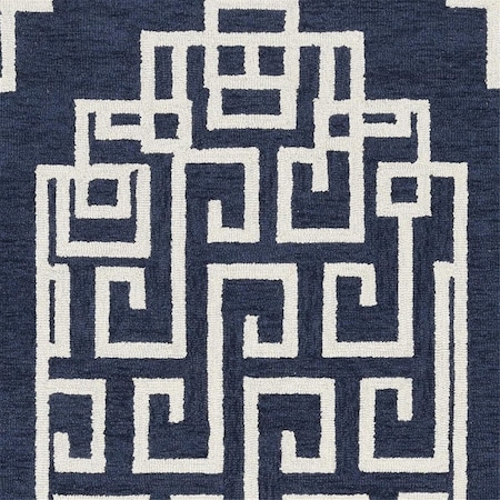 Palacedesigns 60 x 84 in. Navy Ivory Wool Rug PA3676660